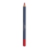 ADEN LIPLINER 39 TANGERINE - Image 1