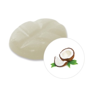 Scentchips Coconut
