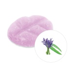 Scentchips Eucalyptus & Lavender - Image 1