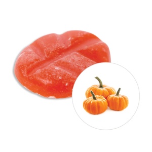 Scentchips Pumpkin