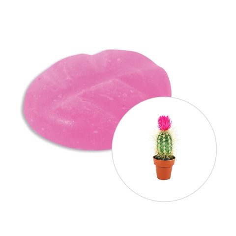87599_scentchips-cactus-flower-fragrance-chips-scentchip