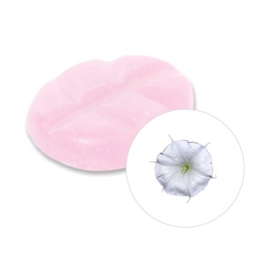 Scentchips Moon flower