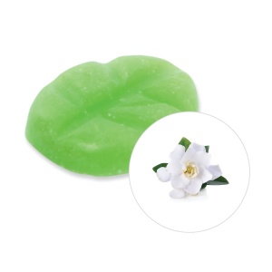 Scentchips Gardenia